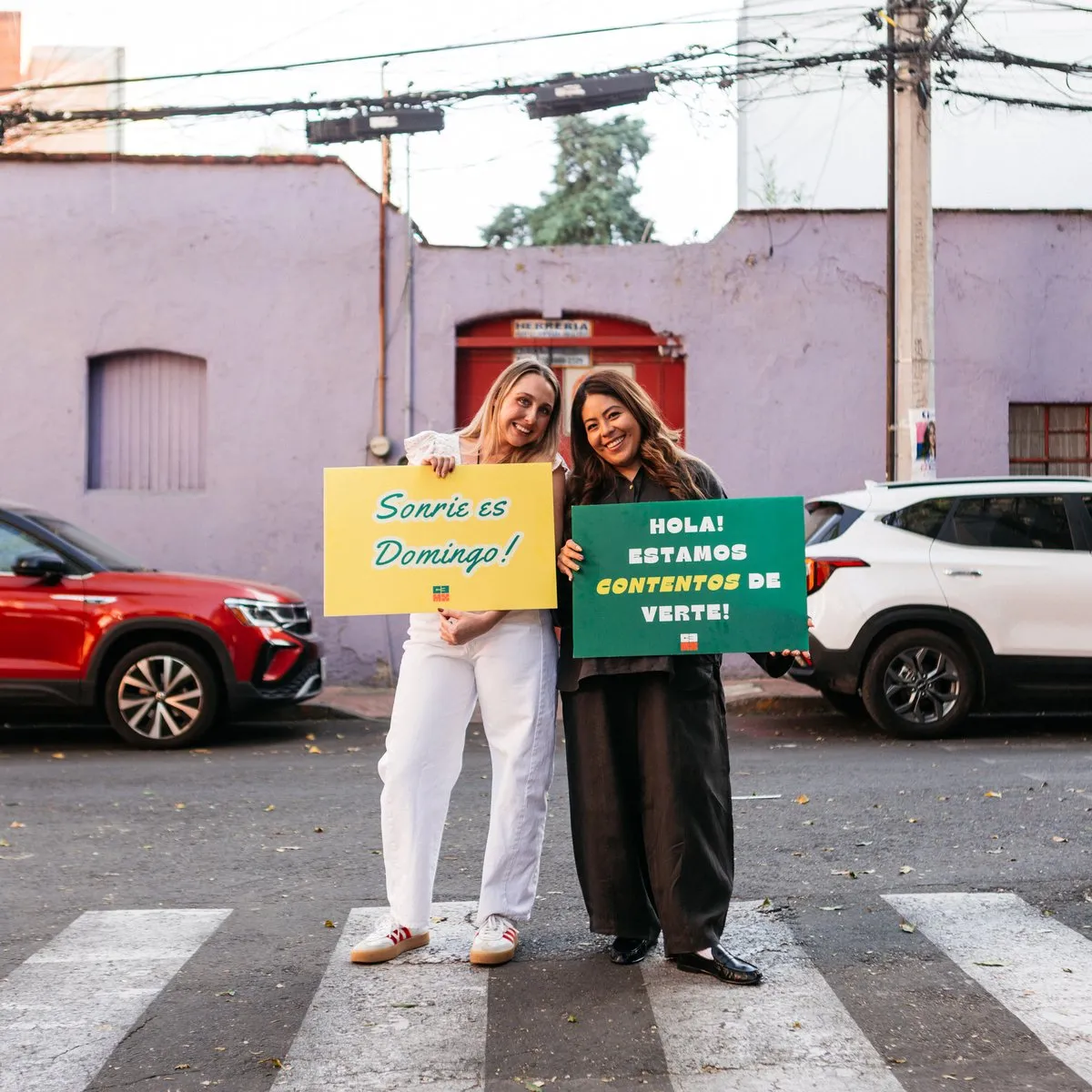 Instagram feed preview